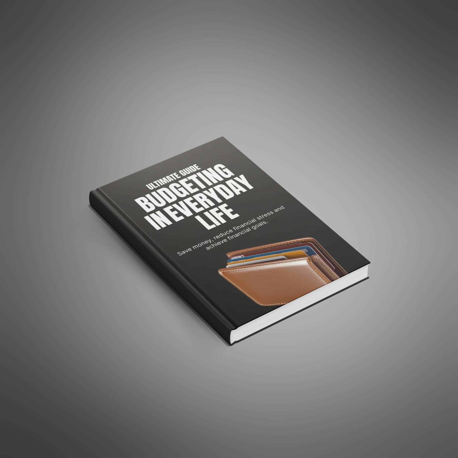Budgeting-in-Everyday-Life---Ebook1 Budgeting in Everyday Life: Take Control Now