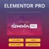Elementor Pro